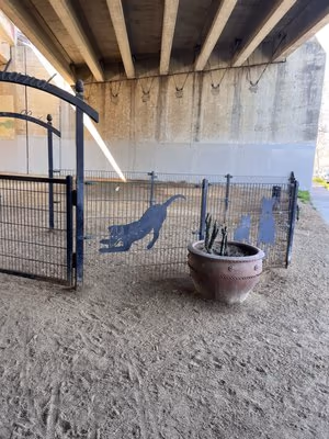 Ryland Dog Park photo 1